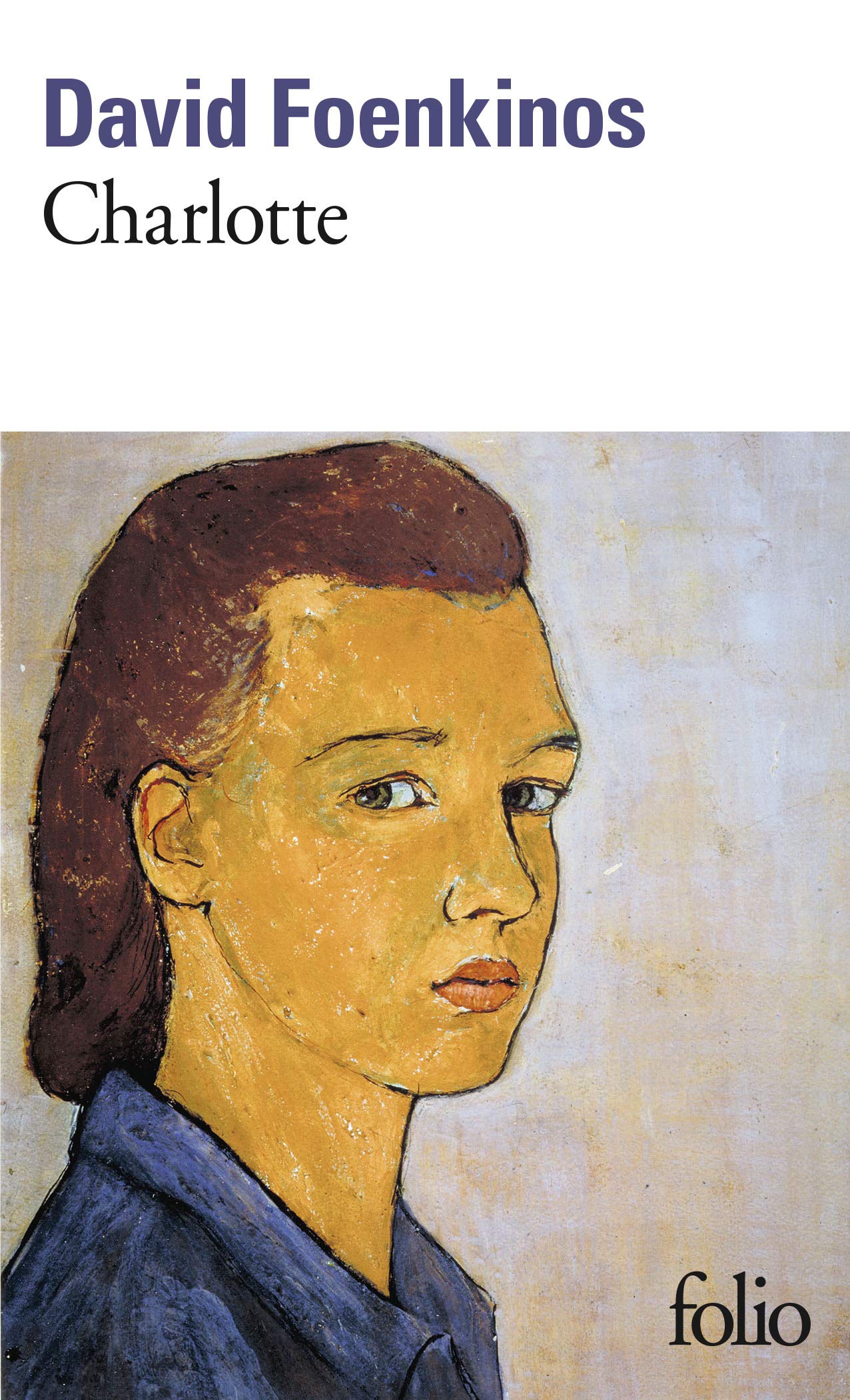 David Foenkinos book